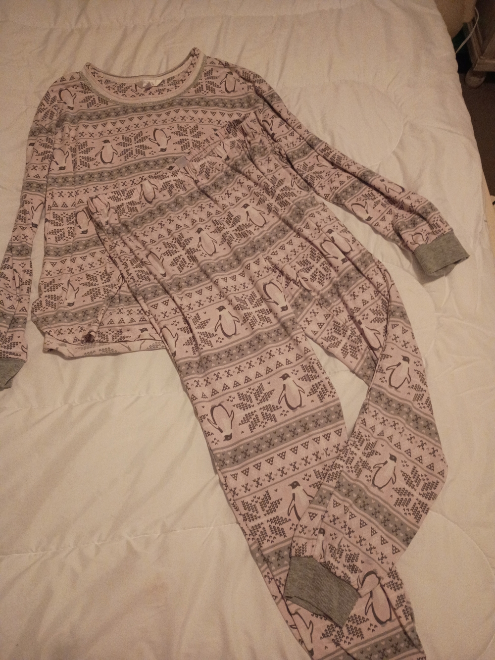 Secret Treasures Light Pink Penguin Print Girls Long Sleeve Pajama Set